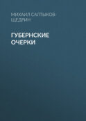 Губернские очерки