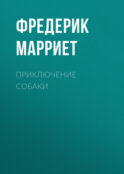 Приключение собаки