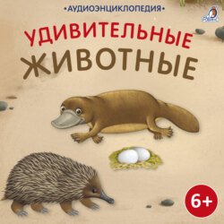 Аудиоэнциклопедия. Удивительные животные Аудиоэнциклопедия. Удивительные животные