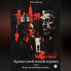 Привет, мой юный корнет, или Есть ли любовь после…
