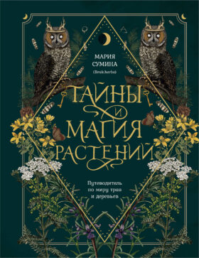 Подарок зеленой ведьме и травнице! (Комплект Bruk.Herbs: книга+блокнот+закладка)
