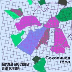 Район Соколиная гора