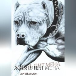 Жизнь Пит мена Жизнь Пит мена