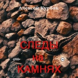 Следы на камнях