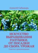Искусство выращивания голубики. От посадки до сбора урожая. Советы и рекомендации
