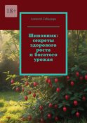 Шиповник: секреты здорового роста и богатого урожая