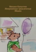 Невероятные приключения Мишки
