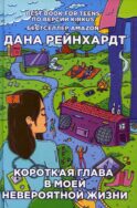 Короткая глава в моей невероятной жизни