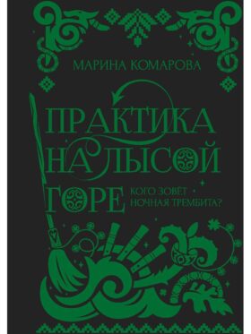 Практика на Лысой горе