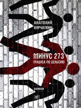 Минус 273 градуса по Цельсию: роман