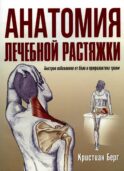 Анатомия лечебной растяжки: быстрое избавление от боли и профилактика травм