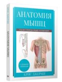 Анатомия мышц: иллюстрированный справочник