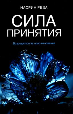 Сила принятия. Возродиться за одно мгновение