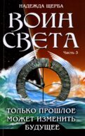 Воин света. Ч. 3. Только прошлое может изменить будущее