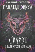 Силуэт в разбитом зеркале: роман