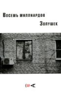 Восемь миллиардов Золушек: сборник эссе
