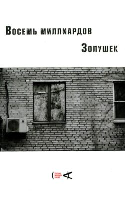 Восемь миллиардов Золушек: сборник эссе