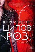 Королевство шипов и роз: роман