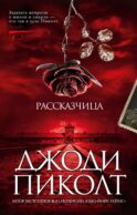 Рассказчица: роман