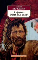Я пришел дать вам волю: роман