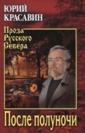 После полуночи: роман