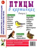 Птицы в картинках. Вып. 1. Наглядное пособие для педагогов, логопедов, воспитателей и родителей