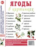 Ягоды в картинках. Наглядное пособие для педагогов, воспитателей, логопедов, родителей