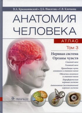 Анатомия человека. Атлас. В 3 т. Т. 3: Нервная система. Органы чувств: Учебное пособие