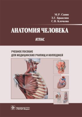Анатомия человека. Атлас: Учебное пособие для медицинских училищ и колледжей