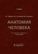 Анатомия человека: Учебник. 13-е изд., испр. и доп