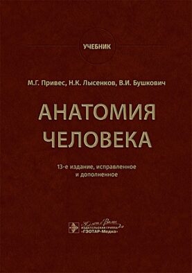 Анатомия человека: Учебник. 13-е изд., испр. и доп