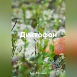 Диктофон