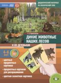 Дикие животные наших лесов и их детеныши. Дидактический материал по лексической теме. 4-6 лет