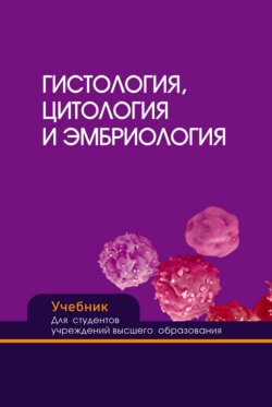 Гистология, цитология и эмбриология Гистология, цитология и эмбриология