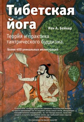 Тибетская йога. Теория и практика тантрического буддизма. 2-е изд