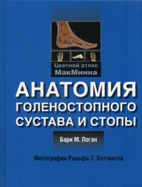 Анатомия голеностопного сустава и стопы. Цветной атлас МакМинна