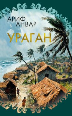 Ураган: роман