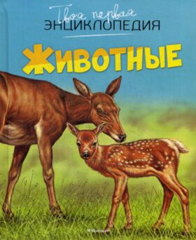 Животные. Твоя первая энциклопедия
