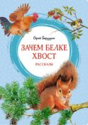Зачем белке хвост: рассказы