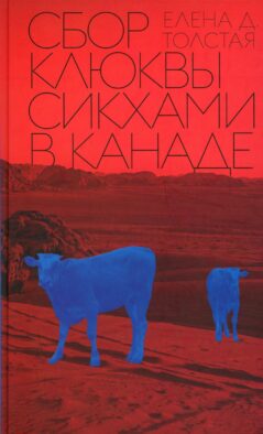 Сбор клюквы сикхами в Канаде