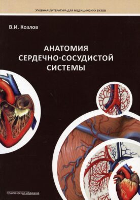Анатомия сердечно-сосудистой системы: Учебное пособие для студентов медицинских вузов