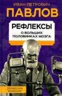 Рефлексы. О больших половинках мозга