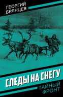 Следы на снегу