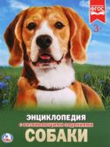 Собаки