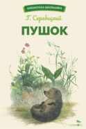 Пушок: рассказы