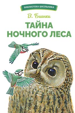 Тайна ночного леса. Сказка и рассказ