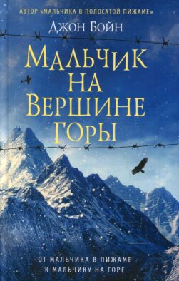 Мальчик на вершине горы: роман