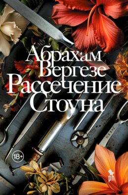 Рассечение Стоуна: роман