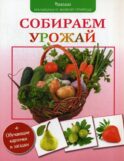Собираем урожай. Малышам о живой природе