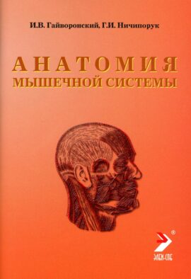 Анатомия мышечной системы (мышцы, фасции и топография): Учебное пособие. 16-е изд., перераб. и доп
